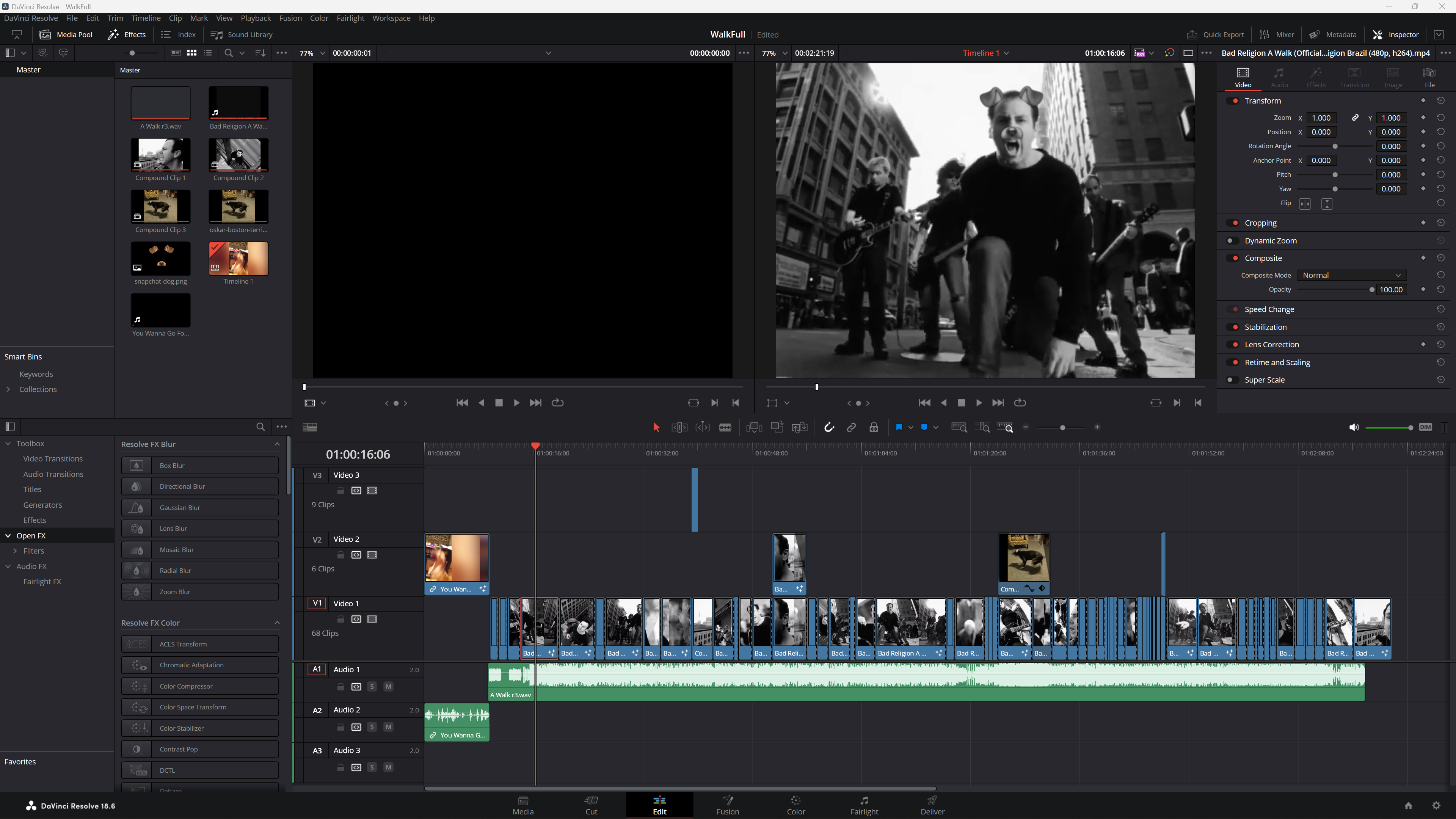 DaVinci Resolve timeline